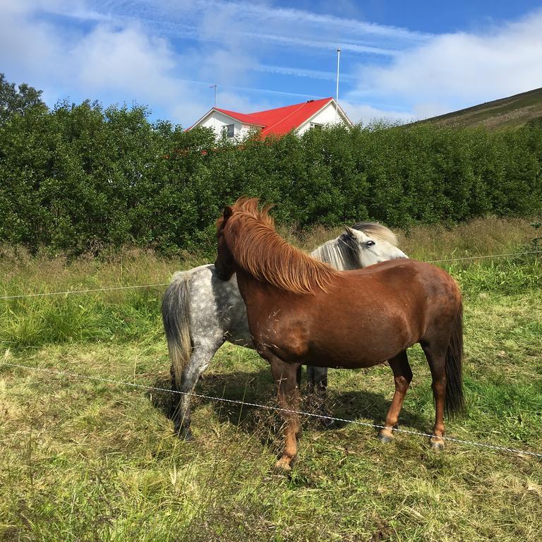 Oendolfsstathir Farm B&B Laugar  Buitenkant foto
